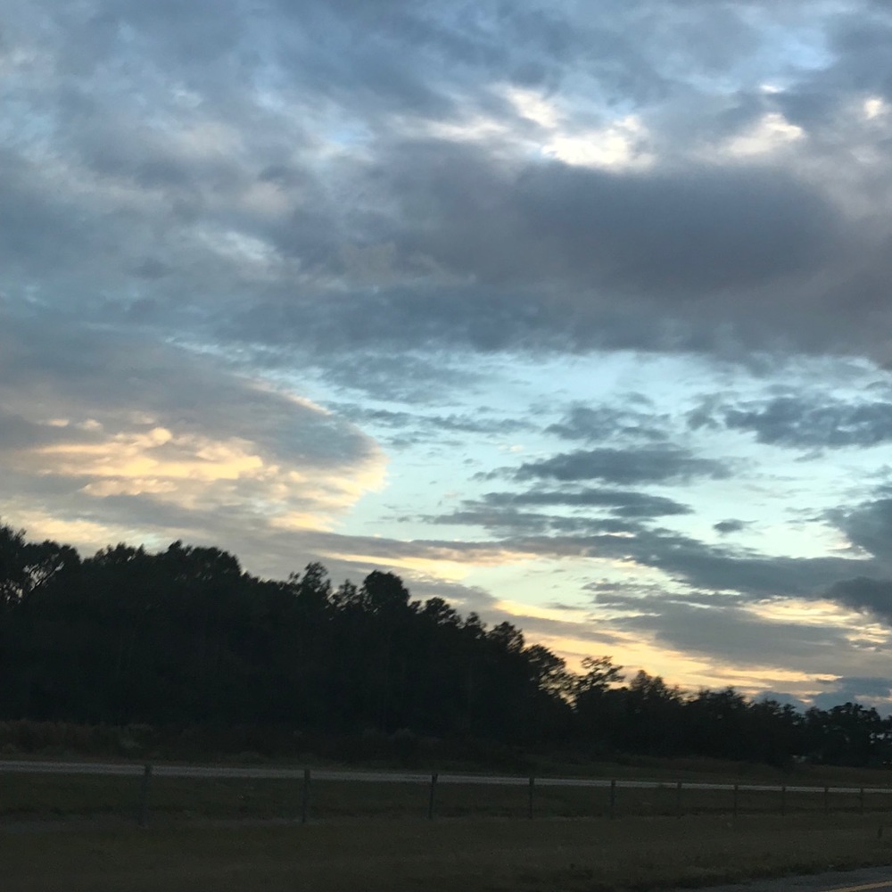 **Shopping Only**🦋